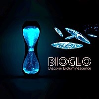 BioGlo: Bioluminescent Aquarium