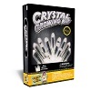 Crystal Growing Kit - Clear Quartz