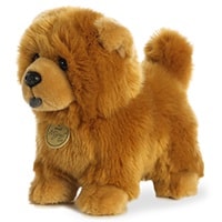 Miyoni - Chow Chow Pup